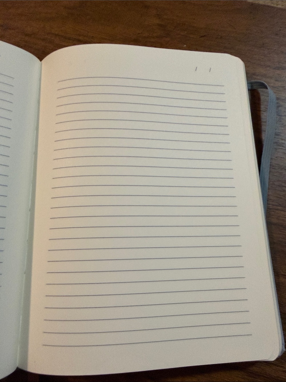 Dog-Themed Hardcover Notebook/Journal - New - Picture 2 of 2
